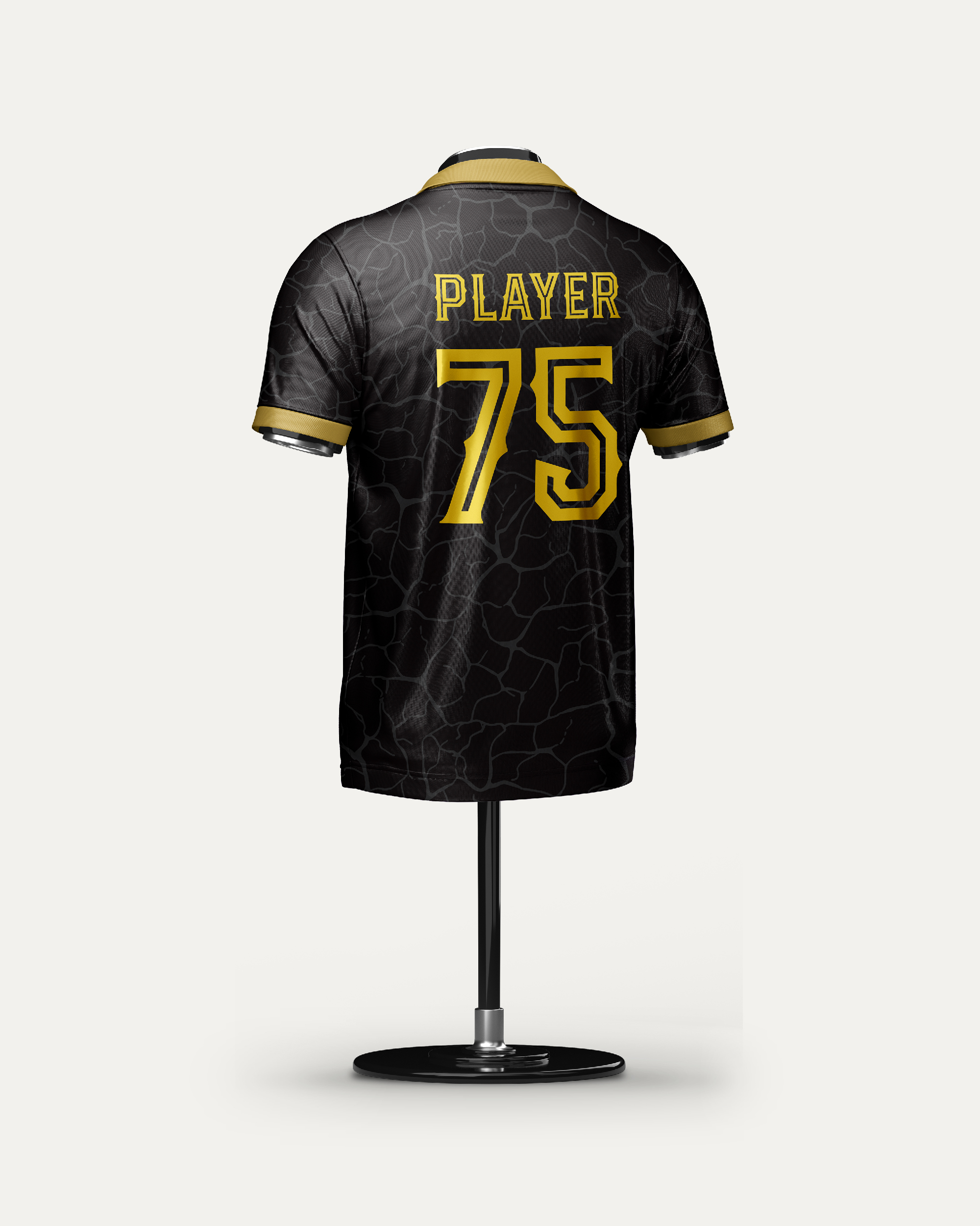 Concept Jersey Design for Cricket Team_03 Gallery Image 1